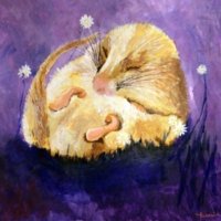 2014 - Acrylics on board. Framed. Sleepy Dormouse