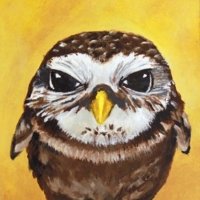 2012 - Acrylics on Mountboard. Owl You Doing