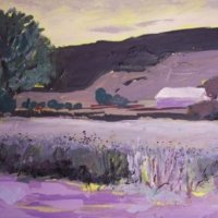 French Lavender Fields