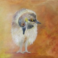 2015 - Acrylic on Box Canvas Owl