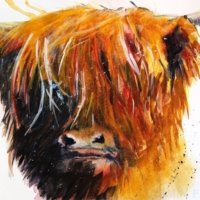 2016 - Watercolour on Paper Cow