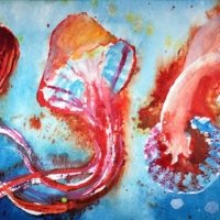 Oceanic - 2021 - Watercolour Oceanic