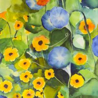 Morning Glory - 2024 - Ink Morning Glory